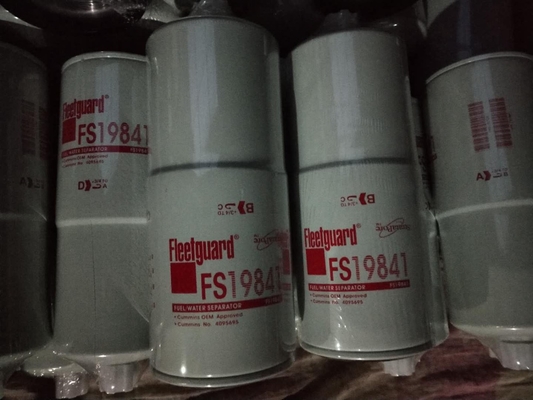 Filtro da separazione dell'acqua dell'olio di FS19841 eetguard per il separatore di acqua